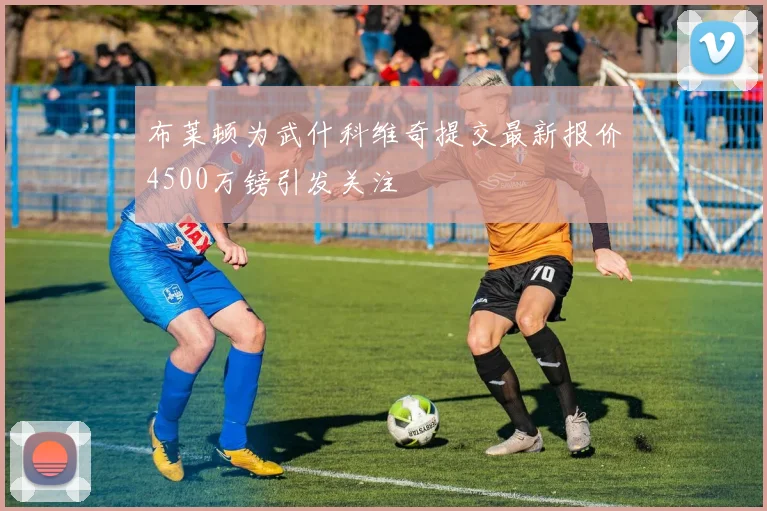 布莱顿为武什科维奇提交最新报价4500万镑引发关注