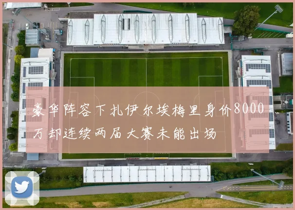 豪华阵容下扎伊尔埃梅里身价8000万却连续两届大赛未能出场