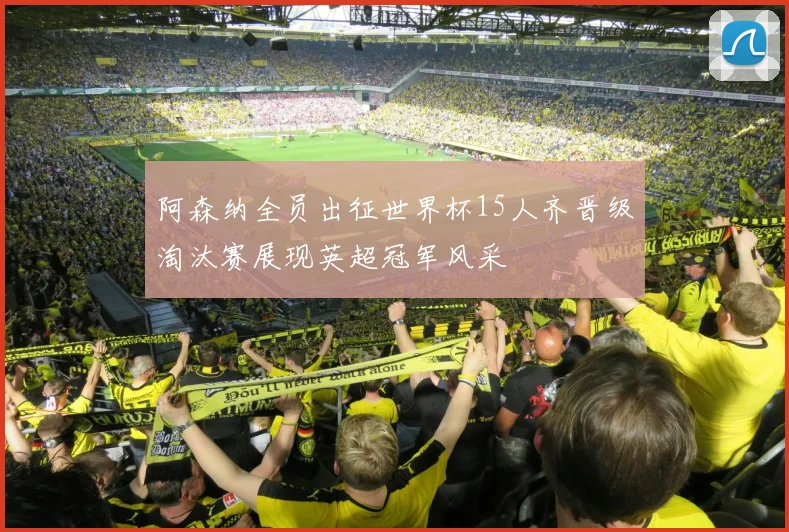 阿森纳全员出征世界杯15人齐晋级淘汰赛展现英超冠军风采
